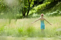 Wiese und Wald