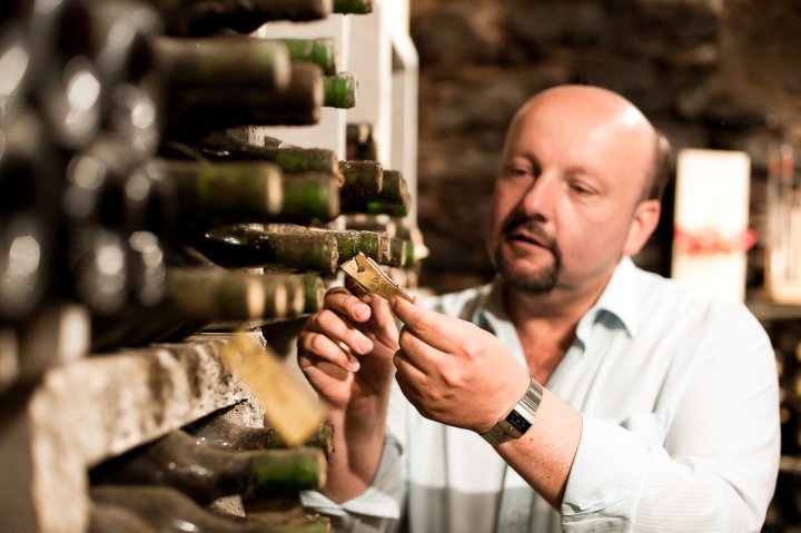Weinliebhaber im Keller