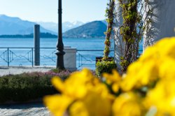 Detail am See, Lago Maggiore