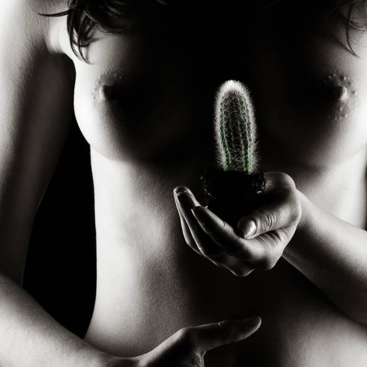 Aktfotografie: Im Zangenlicht geformte Brust mit einem Kaktus