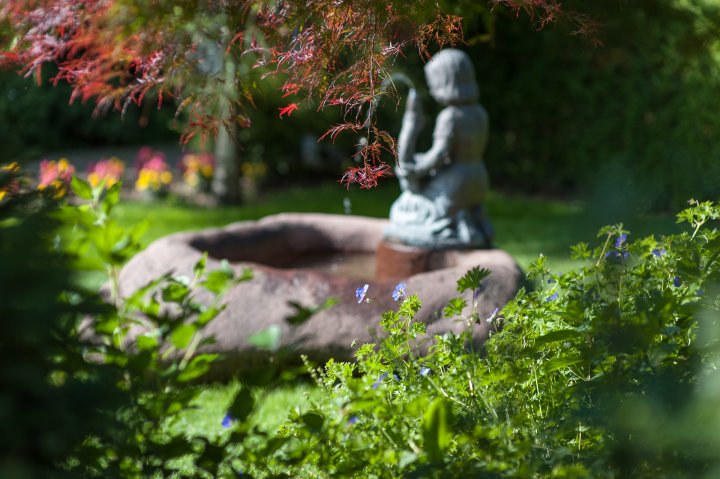 Hotelgarten Detail im wunderschönen Ahrntal, Südtirol